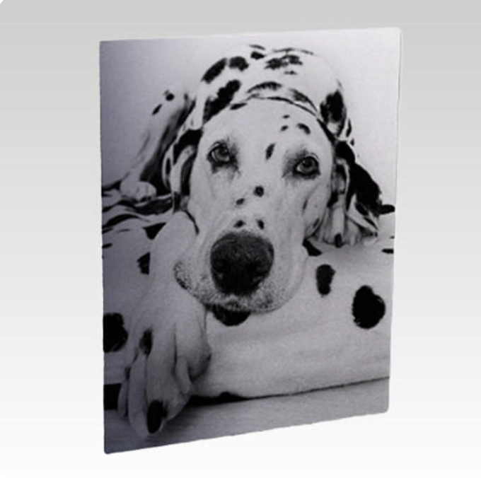 WalaSub Sublimation Photo Panel